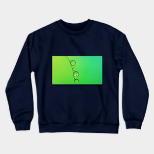 Bliss Crewneck Sweatshirt